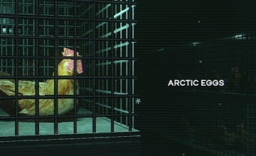 Arctic Eggs header image opinion piece