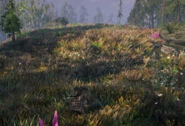 Aska Resources Guide - Cover Image Crouching in a Field with a Dwarf Spruce Flax and Berry Bush Nearby