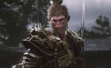 The monkey king looking into camera from chest height.