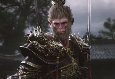The monkey king looking into camera from chest height.