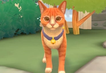 A ginger cat looking into the camera in Nacon's Cat Rescue Story