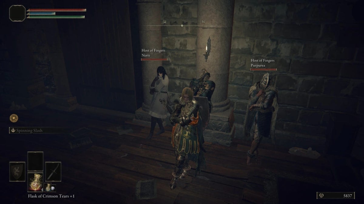 A party of players in the Elden Ring Seamless Co-op mod